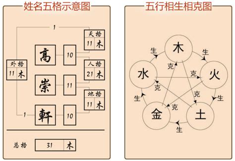 姓名学分析